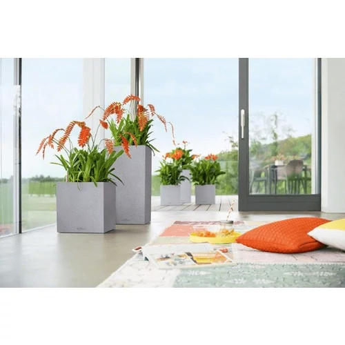 Kép 4/4 - Lechuza Canto Stone Oszlop - Stone Grey 30/56cm