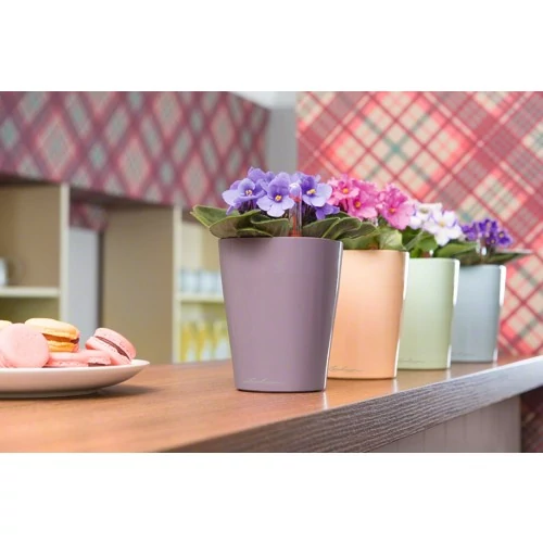 Kép 2/10 - Lechuza Mini-Deltini