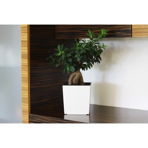 Kép 5/8 - Juka Classic kocka kaspó