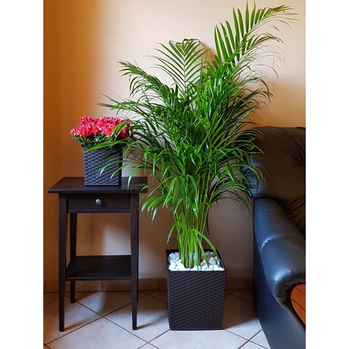 Kép 4/7 - Elegant Juka Rattan Antracit Kaspó