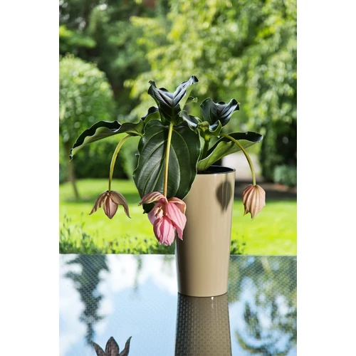 Kép 5/9 - Lilia Classic magas kaspó 