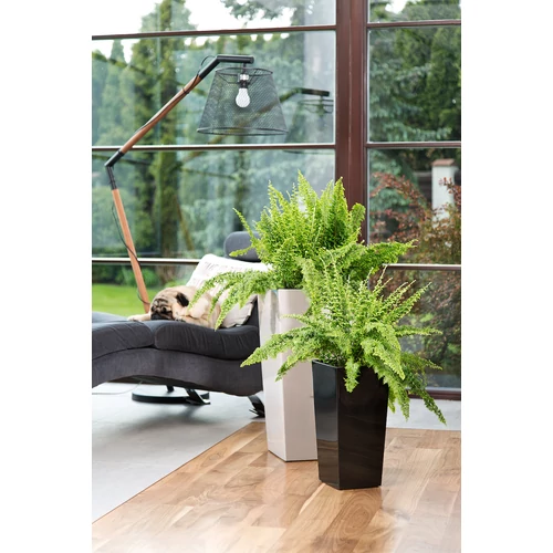 Kép 2/3 - Finezja Classic Kaspó Fekete és Fehér