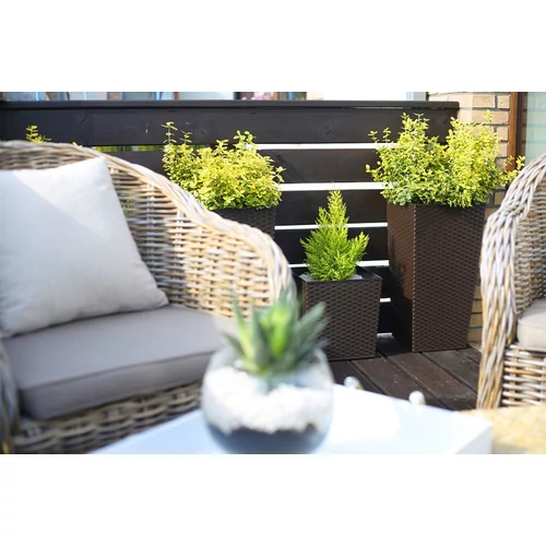 Kép 5/5 - Finezja Rattan magas kaspó 40x73cm - mokka
