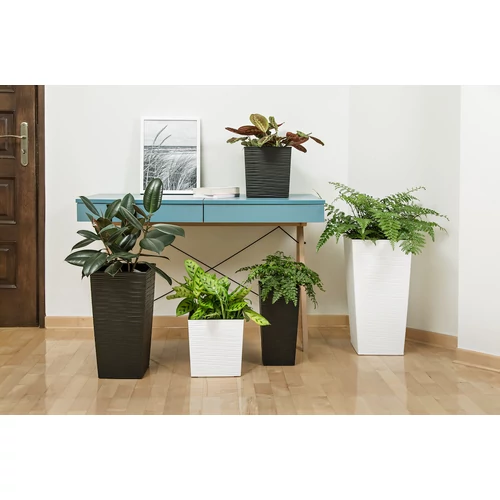 Kép 7/7 - Finezja és Juka Strip kaspók