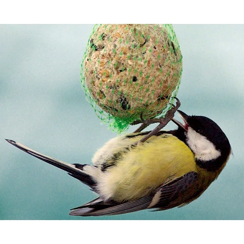 Kép 2/4 - Rédei Kertimag - Cinkegolyó 6db