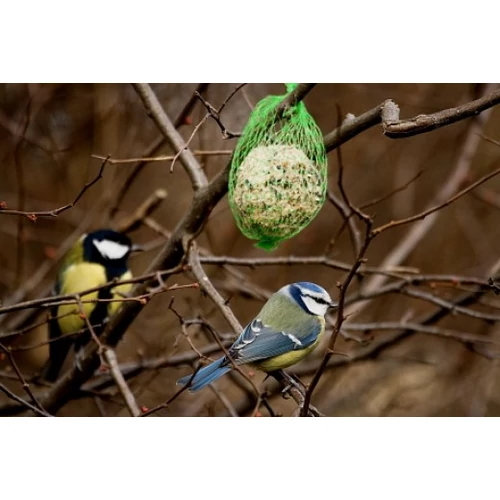 Kép 4/4 - Rédei Kertimag - Cinkegolyó 6db