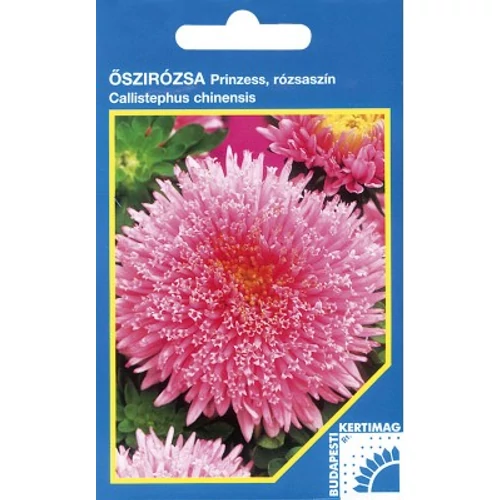 Őszirózsa Prinzess, Rózsaszín (Callistephus Princess) 