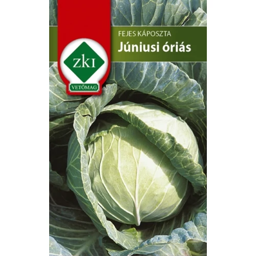 Fejes Káposzta - Júniusi óriás