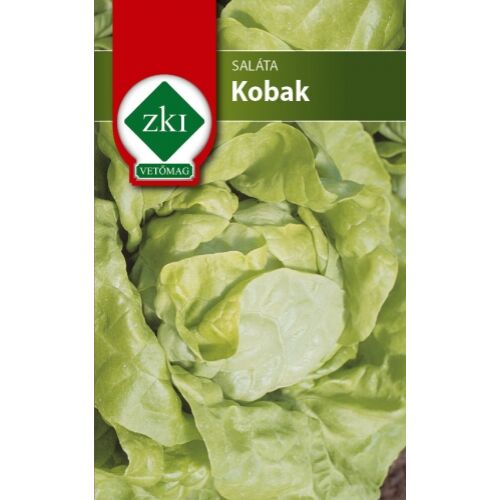 Saláta - Kobak