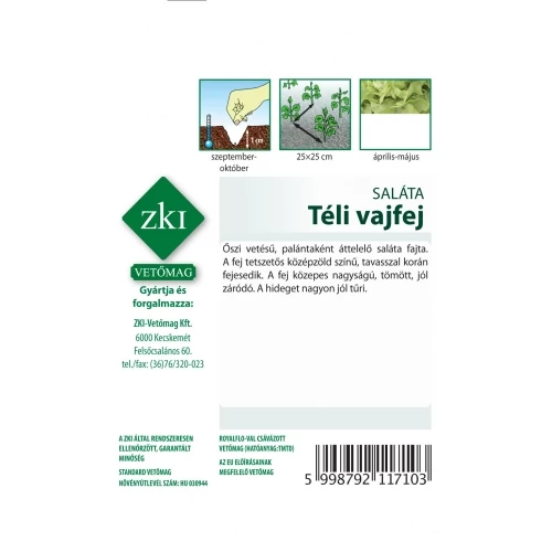 Kép 2/2 - Saláta - Téli vajfej - ZKI