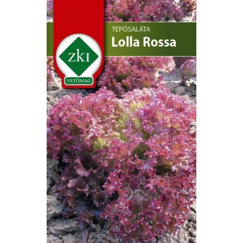 Saláta - Lolla Rossa Tépősaláta
