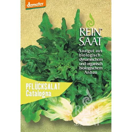 BiOdinamikus Catalogna tépősaláta vetőmag