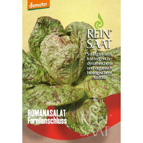 BIOdinamikus Római saláta vetőmag