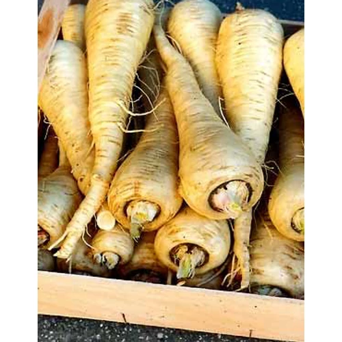 Kép 1/3 - BIO RS Paszternák White Gem