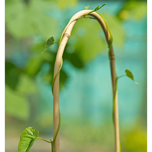 Kép 1/2 - Ívelt bambusz karó