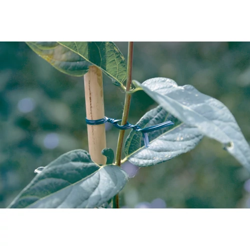 Kép 2/2 - AP-FIX Kötöző 25m