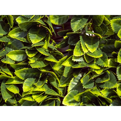 Kép 4/5 - Nortene FLEXIGREEN nyitható apácarács borostyán levelekkel 2x1m