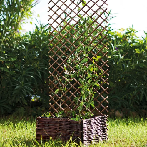 Kép 2/7 - Nortene TRELLIWILLOW fűz apácarács 1x2m
