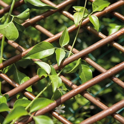 Kép 5/7 - Nortene TRELLIWILLOW fűz apácarács 1x2m