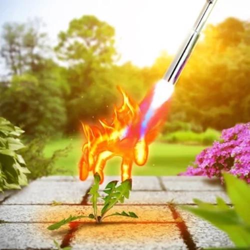 Kép 5/6 - GLORIA ThermoFlamm BIO