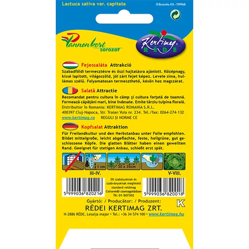 Kép 2/2 - Saláta - Attrakció - NYÁRI, ŐSZI - Rédei Kertimag