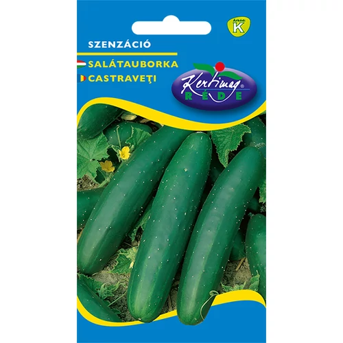 Kép 1/2 - Szenzáció - SALÁTAUBORKA -  Rédei Kertimag