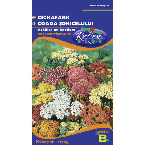Cickafark színkeverék (Achillea millefolium) 