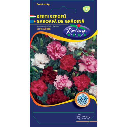 Évelő Kerti Szegfű színkeverék (Dianthus caryoph Grenadin)