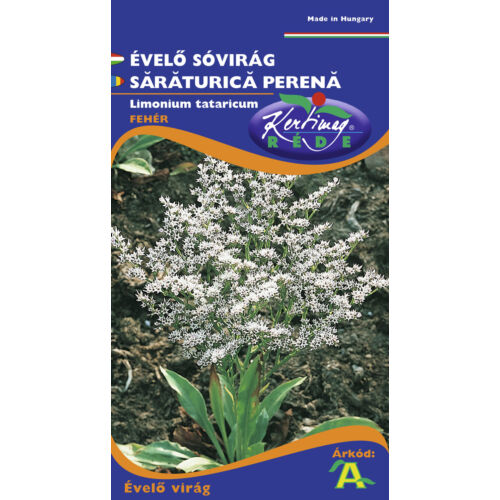 Évelő Sóvirág Fehér (Limonium tataricum)