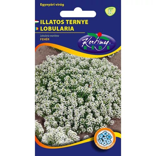 Kép 1/2 - Mézvirág - Illatos ternye - Rédei Kertimag