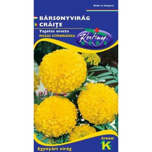 Óriásvirágú Bársonyvirág (Tagetes erecta)