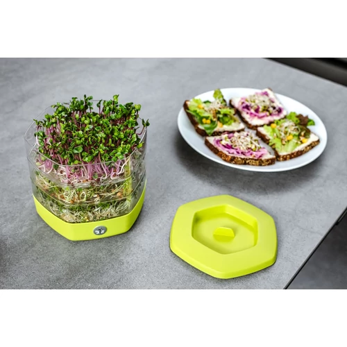 Kép 2/2 - 3 részes csíráztató üvegtál