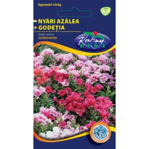 Nyári Azálea Színkeverék (Godetia grandiflora)