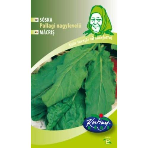 Sóska Pallagi nagylevelű