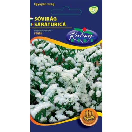 Egynyári sóvirág Fehér (Limonium sinuatum) 