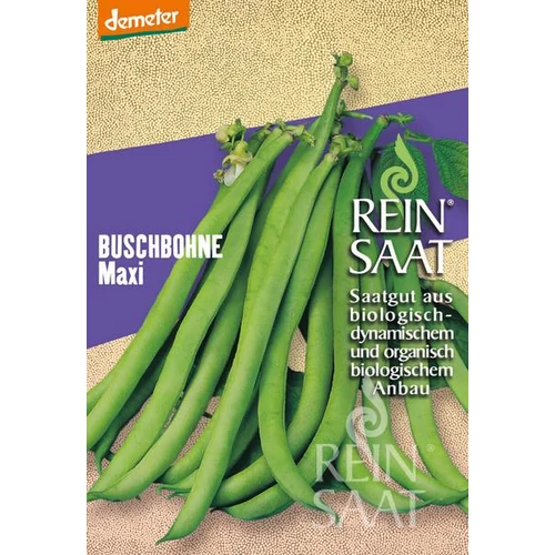 Kép 1/2 - BIO Maxi bokorbab - ReinSaat - BUSCHBOHNE Maxi