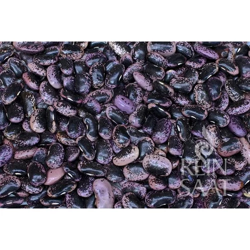 Kép 3/3 - BIO Tűzbab