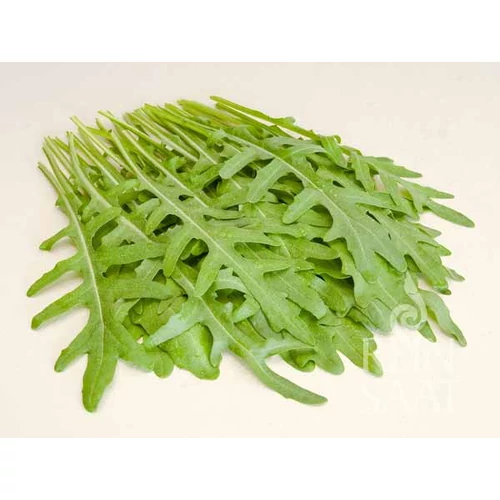 Kép 2/2 - Bio Évelő Rukkola