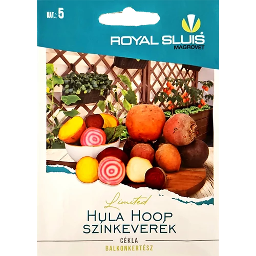 HULA HOOP cékla