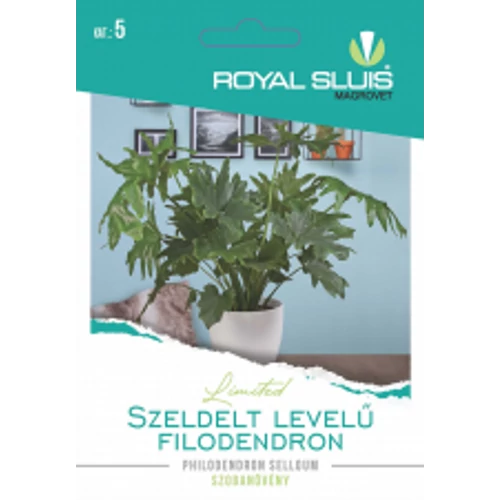 Szeldelt levelű filodendron