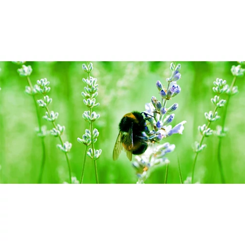 Kép 2/4 - BIO Substral Naturen paradicsom- és fűszernövény tápoldat 1L