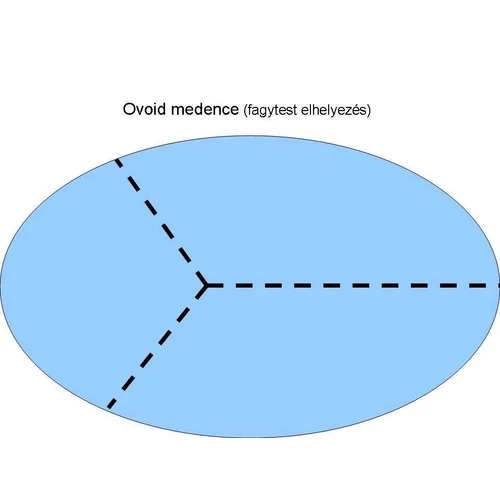 Kép 4/4 - Fagytest elhelyezése ovális medencébe