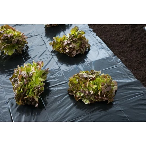 Kép 2/4 - Takarófólia salátához 1,4x10m nem perforált