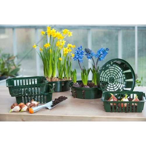 Kép 2/2 - Virághagyma ültető kosár szett