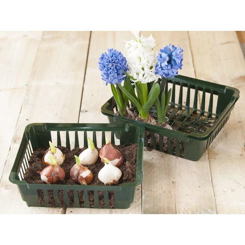 Kép 1/2 - Virághagyma ültető kosár szett