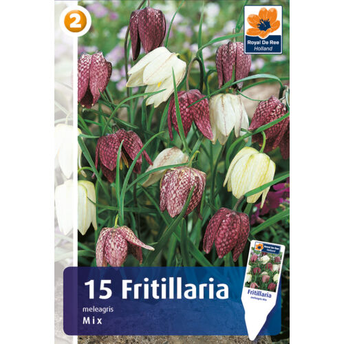 Fritillaria Meleagris Mix