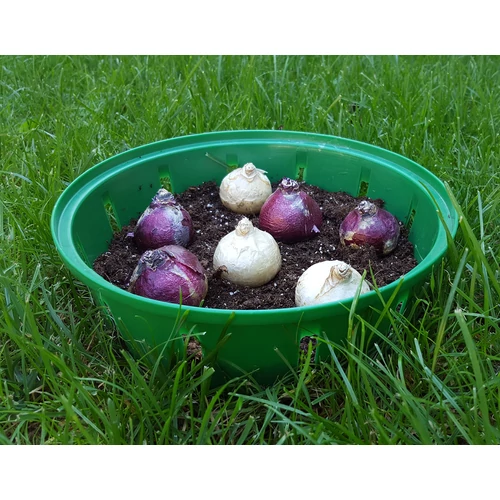 Kép 2/3 - Virághagyma-ültető kosár