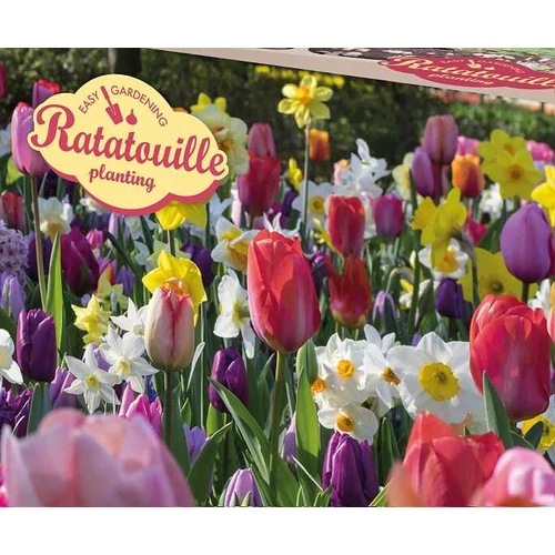 Kép 1/2 - Ratatouille Planting Rainbow tones