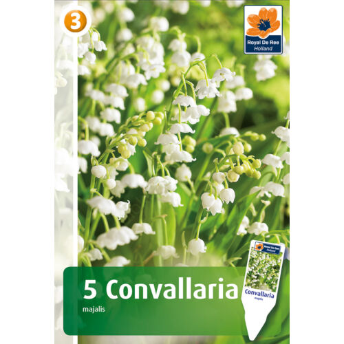 Gyöngyvirág - Convallaria majalis