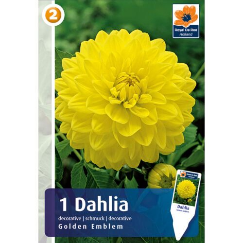 LABDA DÁLIA - Dahlia Decorative Golden Emblem